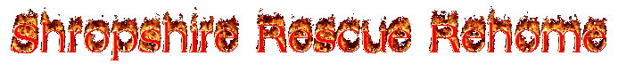 cooltext437694555.gif